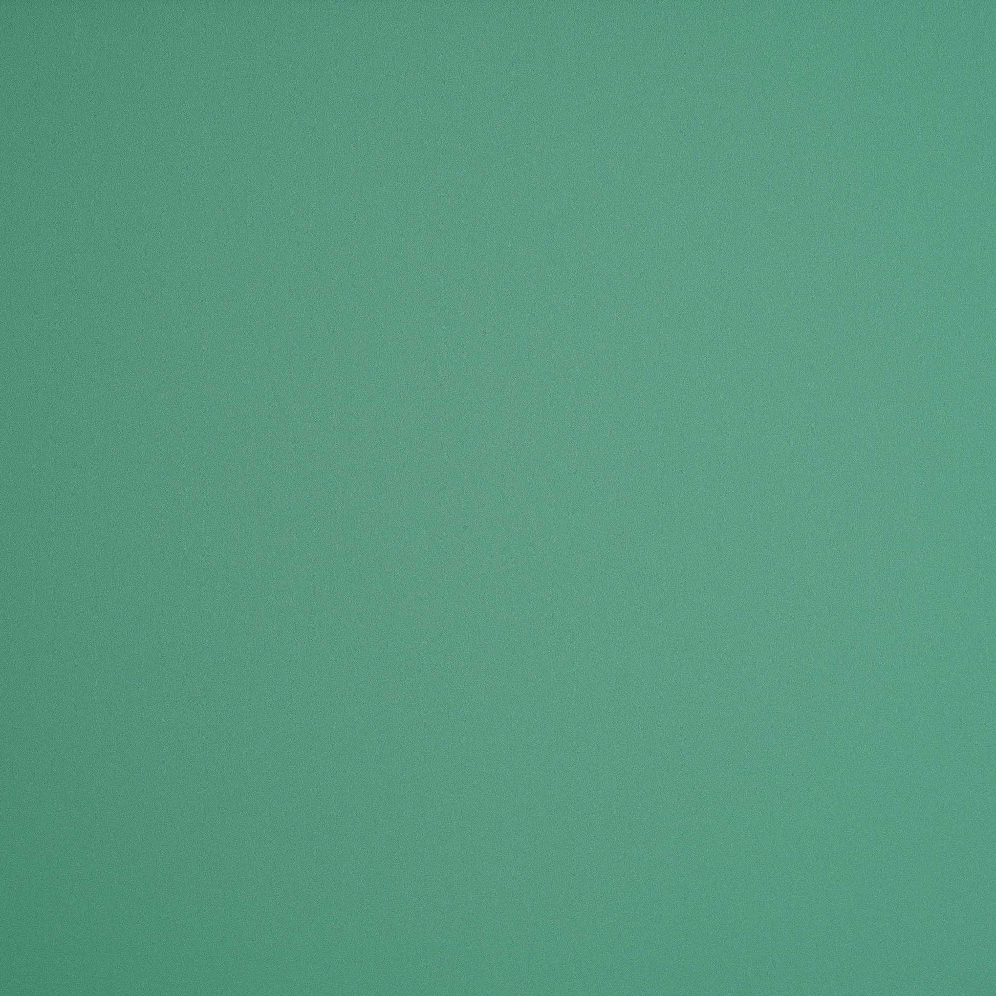 Polyester Chiffon PL150
